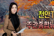 천안TV 주간종합뉴스 11월 29일(월)