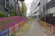 신관동, 아름다운 정원‧마을길 가꾸기 사업 추진