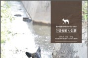 충남야생동물구조센터, 야생동물 사진 전시회 개최